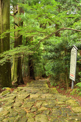大門坂