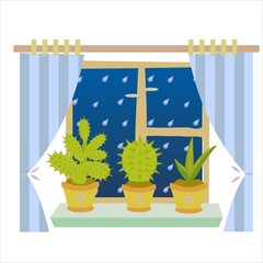 vector image of three green succulents on a windowsill with a view on a rain. Image of cozy rany evening spent at home