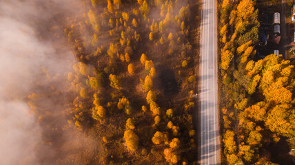 Natural background, aerial view. Autumn nature in the forest and the road passing through it.