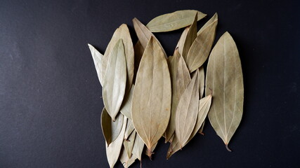 Fresh Bay leaves with black background 