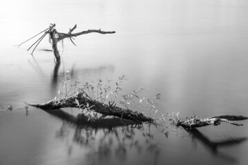 Black and white minimalist image © Robert