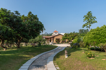 The walking path in the park is surrounded by trees