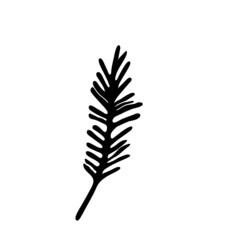 Hand drawn branch for banner, postcard or logo.