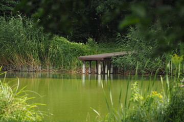 Małe drewniane molo nad jeziorem © vofchok