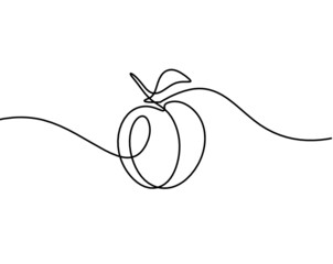Drawing line apricot (peach, nectarine, plum) on the white  background. Vector