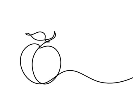recommend clip art: Drawing line apricot (peach, nectarine, plum) on the white  background. Vector