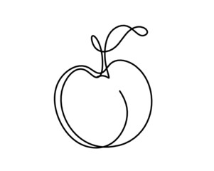 Drawing line apricot (peach, nectarine, plum) on the white  background. Vector