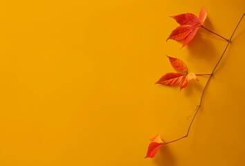 Minimalistic composition with branch of red autumn leaves on yellow background close-up. Close-up, top view.