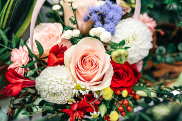 Rose close-up, against the background of a stylized basket for a gift with luxurious flowers. Flower show in the store.