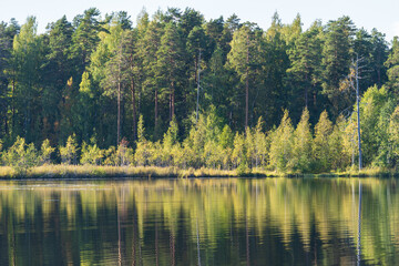 Forest lake with reflection of green trees in water. Autumn in woods with river, no people. Pure nature beauty. Perfect place for relaxation and recreation on vacation away of city urban lifestyle