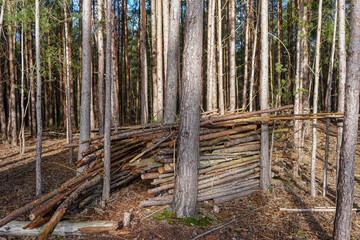 Obraz premium A hut made of logs in the woodland