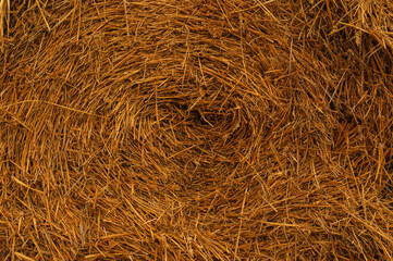 Golden straw bales macro with round pattern