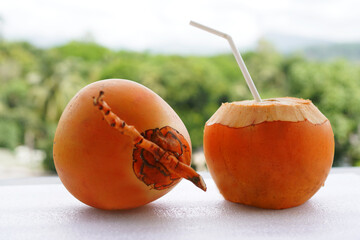 Delicious fresh king coconut water
