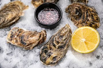 live oysters on ice
