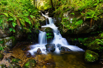 Todtnauer Wasserfall