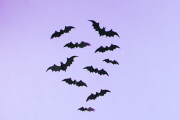 halloween and decoration concept black paper bats flying over purple background