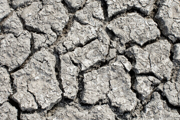 The texture of the dry surface of the earth with deep cracks. Soil background.