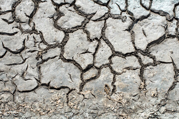 Dry soil surface with deep cracks. Drying pond. Global climate change.