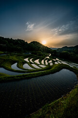 大山千枚田の朝焼け