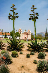 Mission de santa barbara (californie) vie au travers de plantes à ras du sol