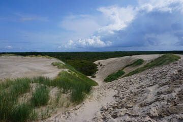Die großen Sanddünen in der Rabjerg Mile in Dänemark