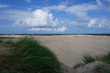 Die Rabjerg Mile eine wunderschöne große Sanddüne in Dänemark