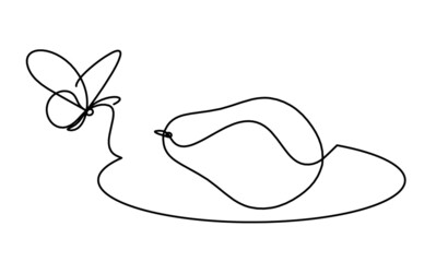 Drawing line avocado on the white background. Vector