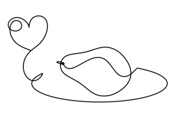 Drawing line avocado on the white background. Vector