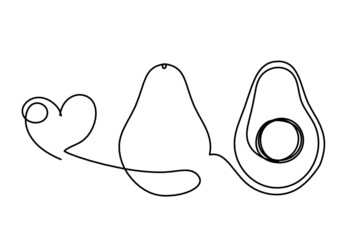 Drawing line avocado on the white background. Vector