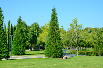 A beautiful landscape of the park and a recreation area in the city.People sunbathing and relaxing