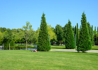 A beautiful landscape of the park and a recreation area in the city.People sunbathing and relaxing