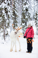 Fototapeta na wymiar Pre-teen girl and reindeer in Lapland