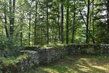 Fototapeta premium Burgruine Hohenberg, Österreich, 12.08.2021
