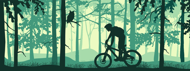 Horizontal banner. Silhouette of mountain bike rider in magical misty forest. Wild nature landscape. Owl on branch. Green illustration.