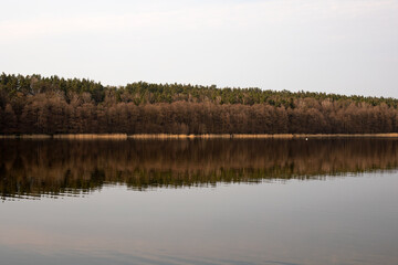 Spring, summer or autumn nature landscape panorama with trees on quiet forest lake