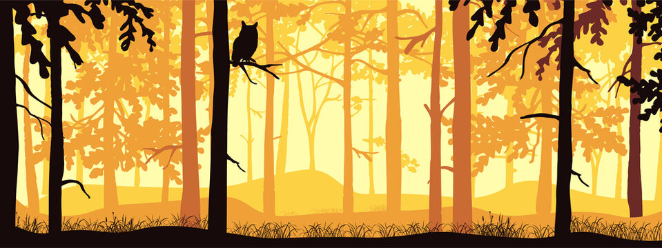 Horizontal banner of forest background, silhouettes of trees, owl on branch. Magical misty landscape, fog. Yellow and orange illustration. Bookmark. 