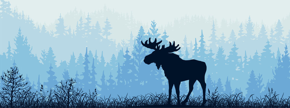 Horizontal banner. Silhouette of moose standing on meadow in forrest. Silhouette of animal, trees, grass. Magical misty landscape, fog. Blue and gray illustration. Bookmark.