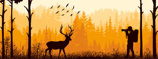 Photographer on meadow in forest take picture of deer. Silhouette of tree, man, animal. Wild nature landscape. Horizontal banner.