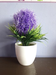 purple decorative flowers on white pots