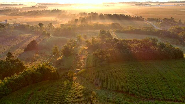 Misty rural landscape at sunrise with long shadows and beams of sunlight, aerial view.
