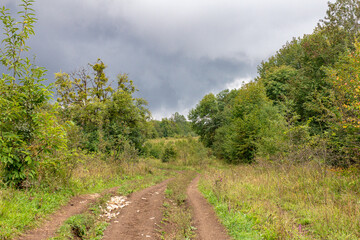 The beginning of autumn in nature, walking through the forest on a sunny day on a primer.