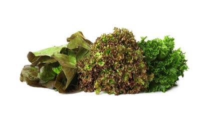 Different sorts of lettuce on white background