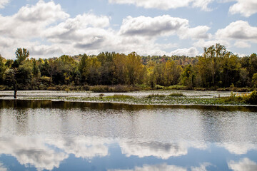 lake in the forest