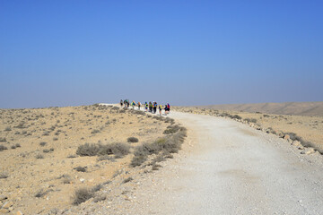 Fototapeta na wymiar Group of tourists hiking. Group of travelers on a trail in an Israeli desert mountains, Ramon crater valley. backpackers tourists group walking hiking rocks desert path trail. 