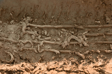 Ground mud with tire track as background, closeup