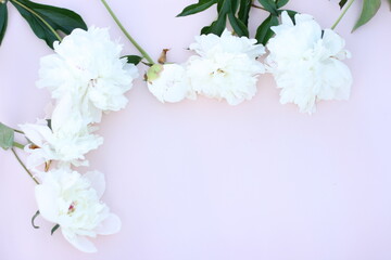 Beautiful white peony flowers bouquet on pastel table top. Flat lay style with copy space. 