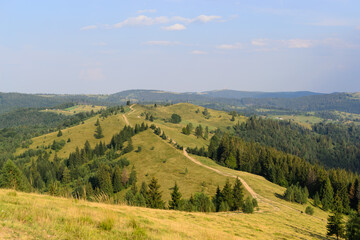 Obraz premium Wonderful natural landscape. Forest and grassy hills. Wild nature.