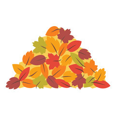 Pile of colorful autumn leaves on white background
