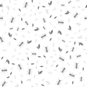 Beautiful patern ants on a white background. Vector image.