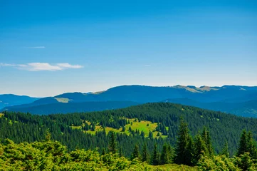 Foto op Aluminium green cone-shaped treetops against the backdrop of mountains and blue sky. High quality photo © Inna